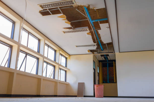 Best Emergency water damage restoration  in Skidway Lake, MI