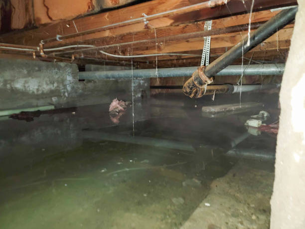 Best Residential water damage restoration  in Skidway Lake, MI
