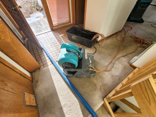Best Fire Damage Restoration  in Skidway Lake, MI