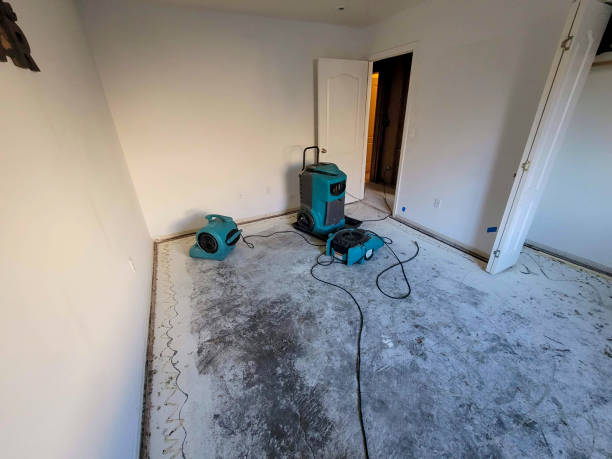 Best Local water damage restoration  in Skidway Lake, MI