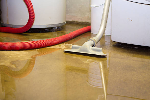Best Flooded house restoration  in Skidway Lake, MI