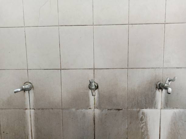 Best Flooded house restoration  in Skidway Lake, MI