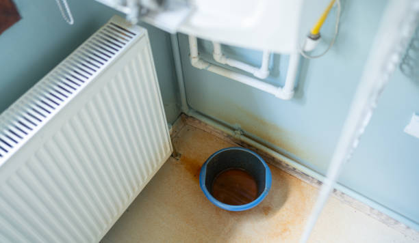 Best Mold removal after water damage  in Skidway Lake, MI