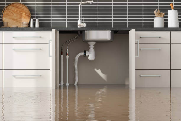 Best Carpet water damage restoration  in Skidway Lake, MI