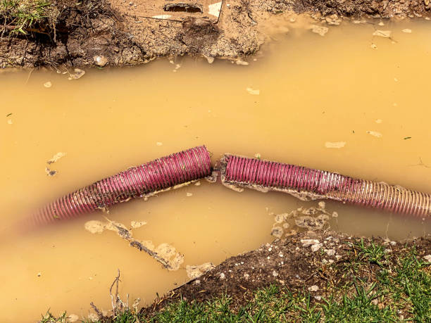 Best Basement water damage restoration  in Skidway Lake, MI