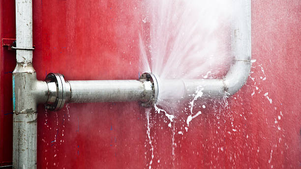 Best Water damage restoration specialists  in Skidway Lake, MI